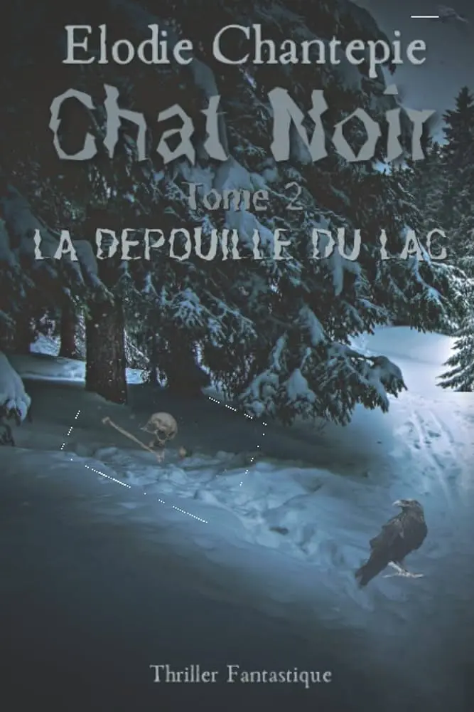 Chat Noir - Tome 2 : La dépouille du lac